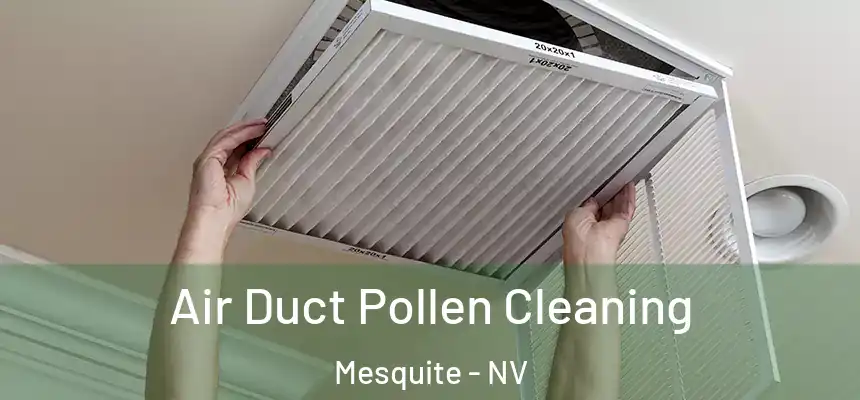  Air Duct Pollen Cleaning Mesquite - NV