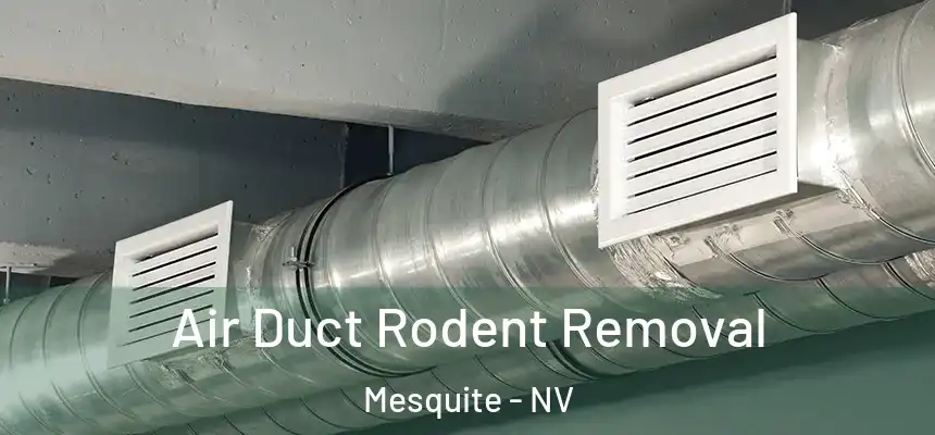 Air Duct Rodent Removal Mesquite - NV