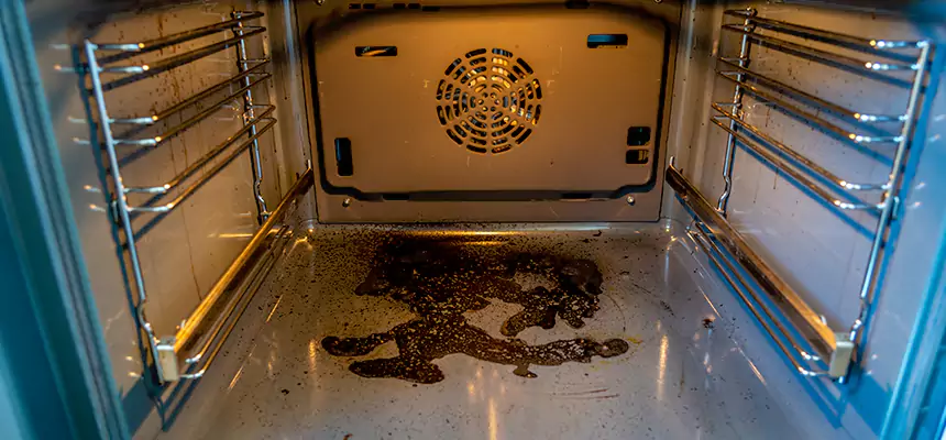 Our Dryer Vent Mold Cleaning Services in Mesquite, NV