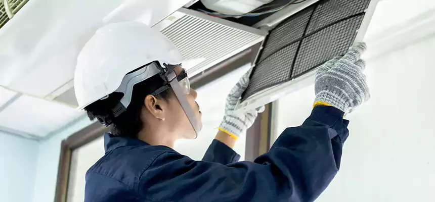 Our Mold & Mildew Removal from Air Ducts Services in Mesquite, NV