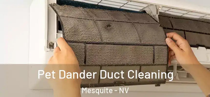 Pet Dander Duct Cleaning Mesquite - NV