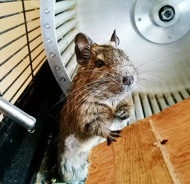 Why Homeowners & Businesses Trust Us Mesquite, NV?